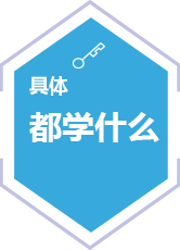 具體 都學(xué)什么