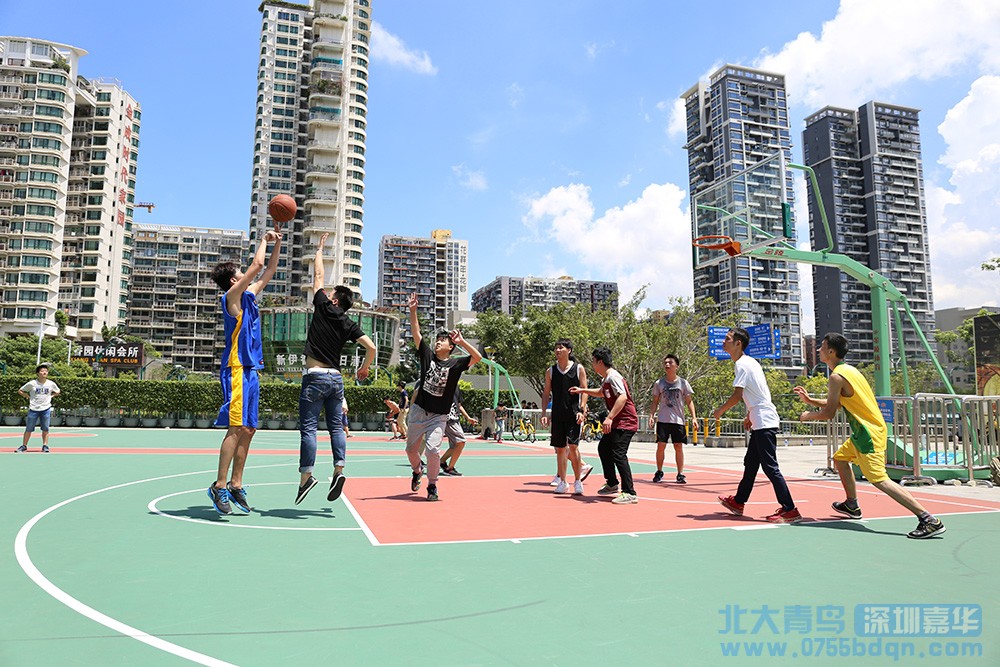 北大青鳥深圳嘉華學校第二屆校園籃球賽火熱進行中