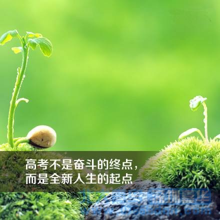 2017年全國高考成績查詢時間/方式/分數線